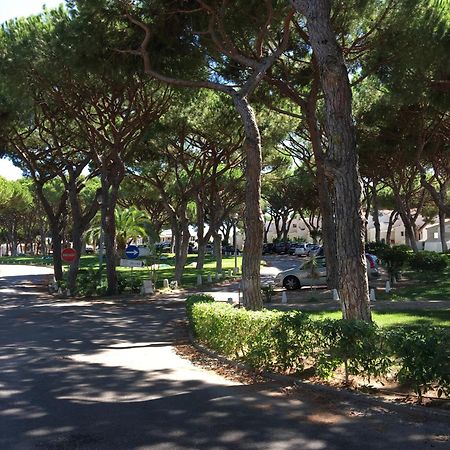 Estudio Tranquilo Praia Da Falesia Albufeira Ngoại thất bức ảnh