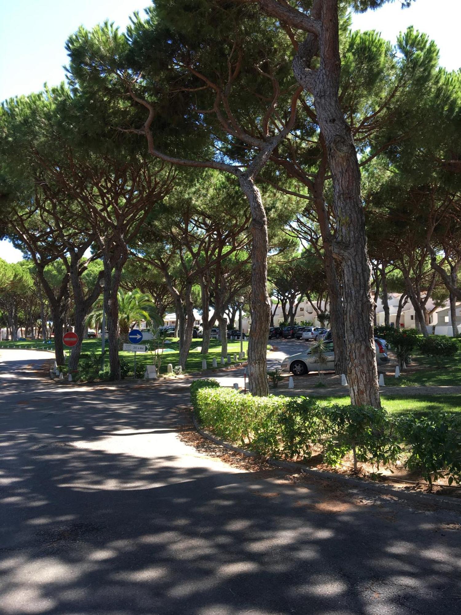 Estudio Tranquilo Praia Da Falesia Albufeira Ngoại thất bức ảnh